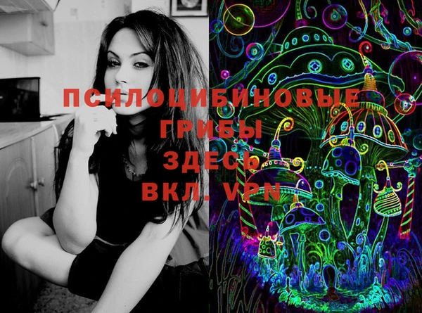 винт Костерёво