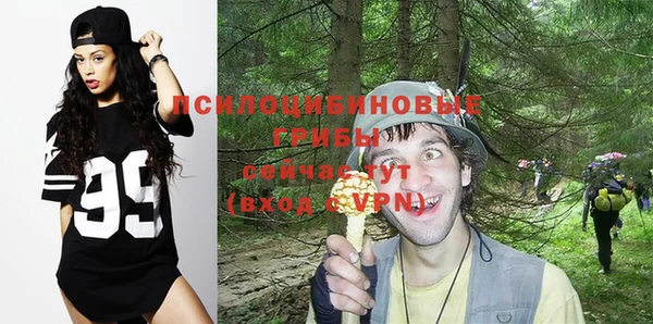 таблы Козловка
