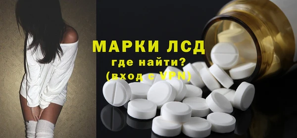 гашик Краснослободск