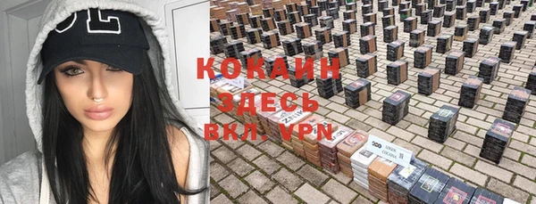 гашик Краснослободск