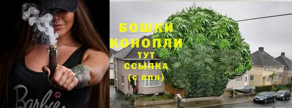 винт Костерёво