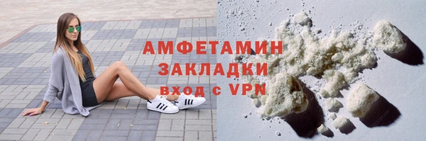 гашик Краснослободск