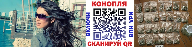 сколько стоит  Кувшиново  Конопля Bruce Banner 